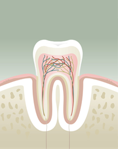 Gum