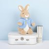 Alternative view of Peter Rabbit - 25cm Plush Toy