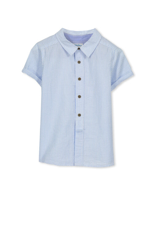 Pin Stripe Shirt