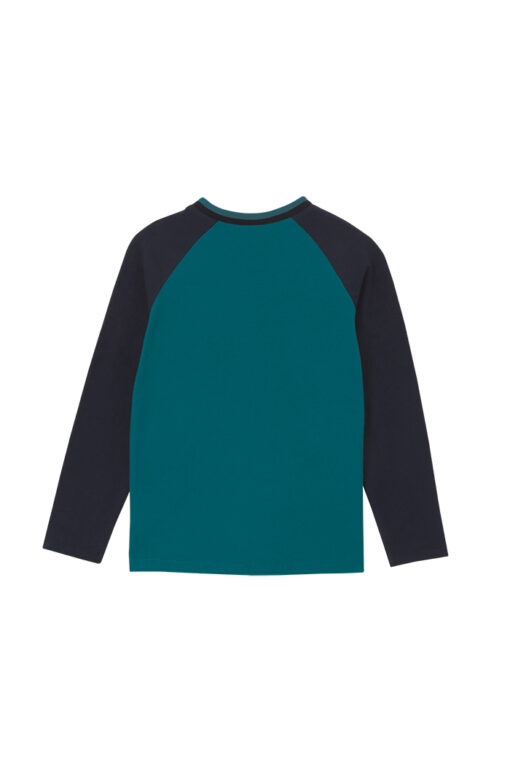 Lion Raglan Long Sleeve Tee - Image 3