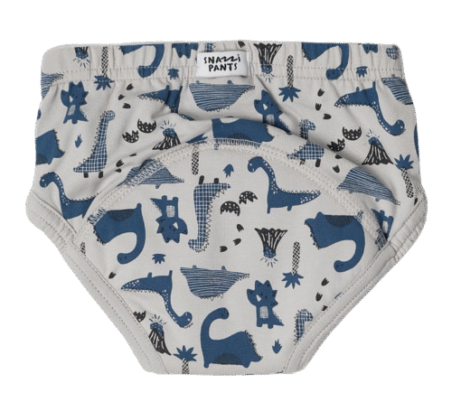 Daytime Training Pants - Dino