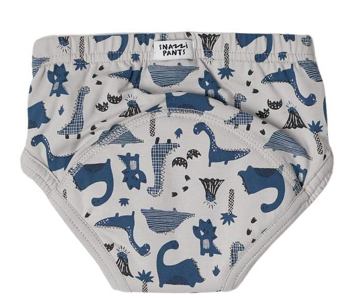 Daytime Training Pants - Dino