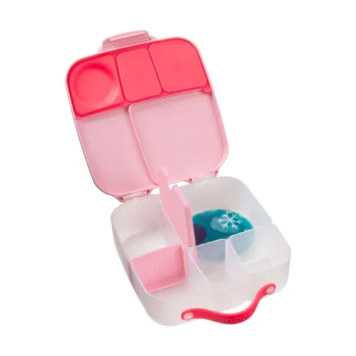 B Box - Lunch Box - Flamingo Fizz
