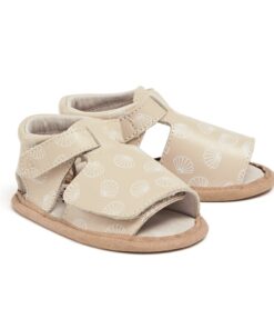 Scallop - Phoenix Sandal