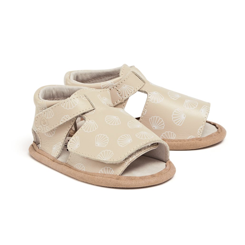 Scallop - Phoenix Sandal