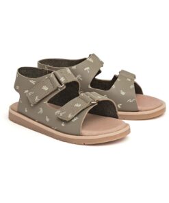 Reef - Wilder Sandal